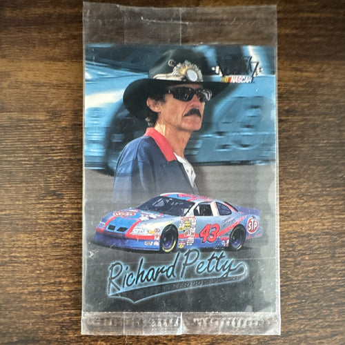 1997 Shoney’s NASCAR Champions 6 Card Lot Earnhardt Gordon Petty Labonte Jarrett
